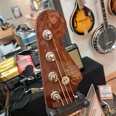 Fender Kingman Bass 2